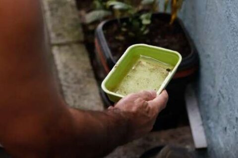 Ministério da Saúde alerta para risco de alta da dengue com avanço do El Niño