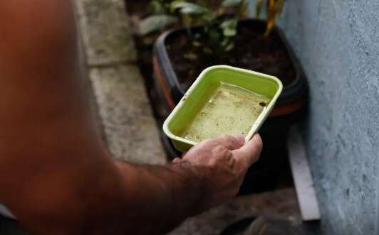 Ministério da Saúde alerta para risco de alta da dengue com avanço do El Niño
