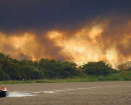 Pantanal tem alta de 770% na área queimada e MS entra em alerta para incêndios