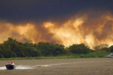 Pantanal tem alta de 770% na área queimada e MS entra em alerta para incêndios