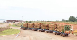 Hexatrens da Suzano são autorizados a circular em rodovias de MS