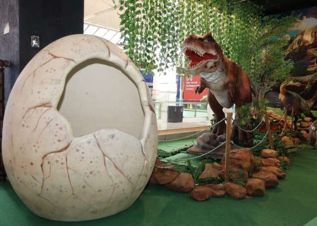 Parque indoor une dinossauros, infláveis e games para toda a família