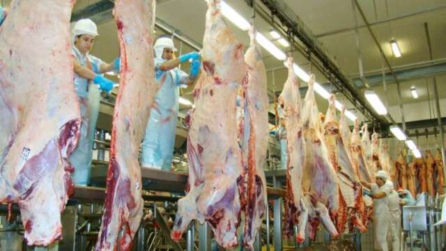 Agro de MS avalia que tarifa dos EUA terá impacto reduzido sobre exportações