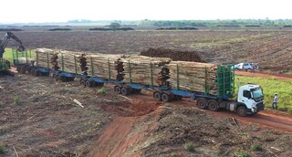 Hexatrens da Suzano são autorizados a circular em rodovias de MS
