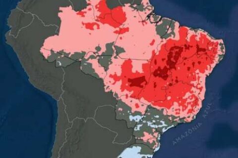 Julho em MS terá frio em ondas, intercalado com tempo seco