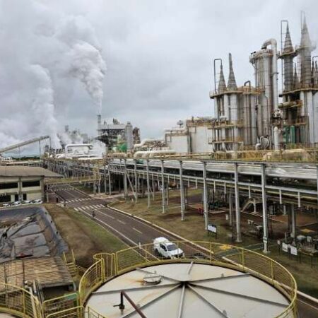 Produção de etanol cresce 29,59% e coloca MS como 3º maior produtor do País