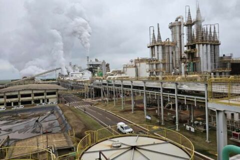 Produção de etanol cresce 29,59% e coloca MS como 3º maior produtor do País
