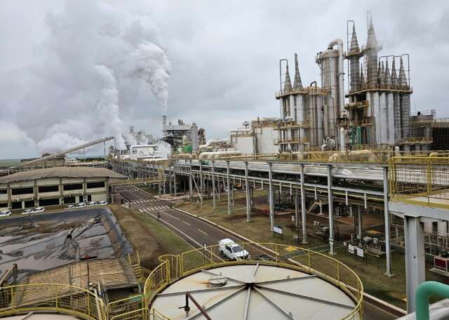 Produção de etanol cresce 29,59% e coloca MS como 3º maior produtor do País