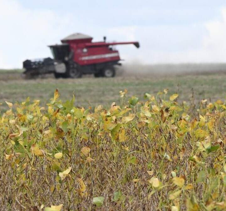 Nova linha de crédito destina R$ 10 bilhões para modernizar o agronegócio