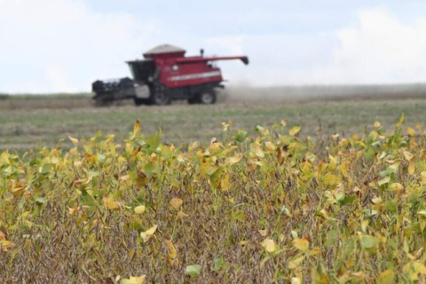 Nova linha de crédito destina R$ 10 bilhões para modernizar o agronegócio