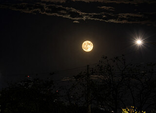 Lua cheia surge alaranjada no céu de Campo Grande; veja imagens