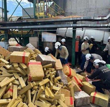Economia da cocaína transforma MS em ativo estratégico do crime organizado