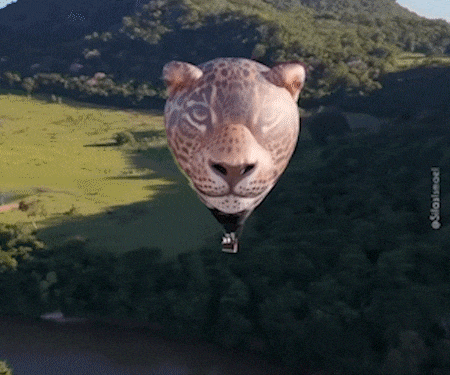 Onça-pintada de 4 mil m³ ganha os céus do Pantanal em voo inédito