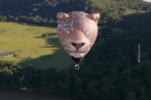 Onça-pintada de 4 mil m³ ganha os céus do Pantanal em voo inédito