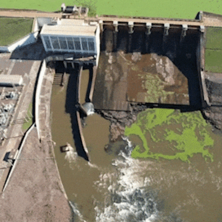 Usina faz novo vertimento para conter plantas que sufocam o Rio Pardo