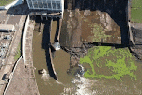 Usina faz novo vertimento para conter plantas que sufocam o Rio Pardo