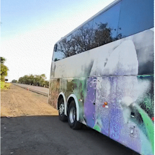 Pane em dois ônibus deixa grupo sem água e comida na BR-163