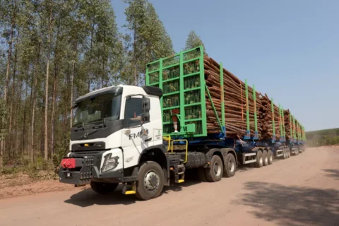 Hexatrens da Suzano são autorizados a circular em rodovias de MS