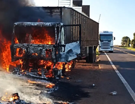 Bois são soltos na MS-395 após carreta pegar fogo