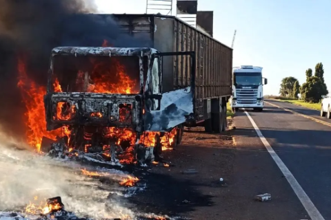 Bois são soltos na MS-395 após carreta pegar fogo