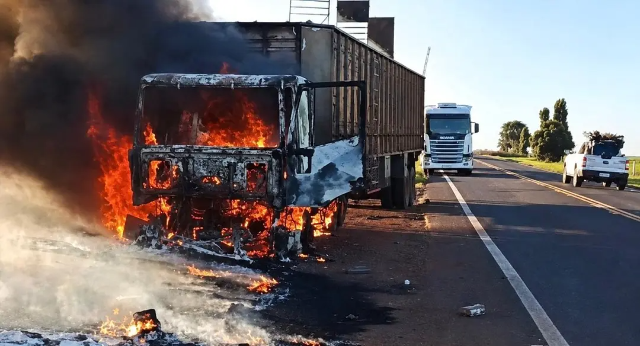 Bois são soltos na MS-395 após carreta pegar fogo