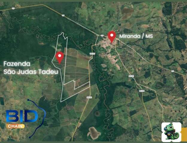 BIDchain: imóveis e áreas rurais até 50% abaixo da avaliação