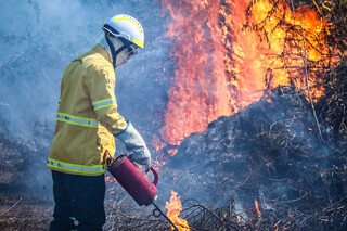 Pantanal tem alta de 770% na área queimada e MS entra em alerta para incêndios