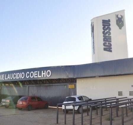 Acrissul atribui queda do rebanho em MS a ciclo pecuário e uso da terra