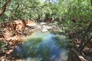 Pouca chuva faz pedras aparecerem e água sumir em trecho do Segredo Pouca chuva faz pedras aparecerem e água sumir em trecho do Segredo