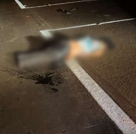 Mulher é atropelada e morre na BR-463; motorista foge
