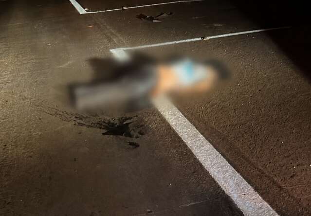 Mulher é atropelada e morre na BR-463; motorista foge