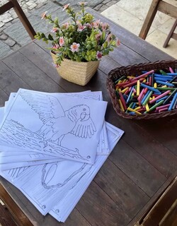 Sem araras na natureza, Ceará participa do Big Day com educação ambiental