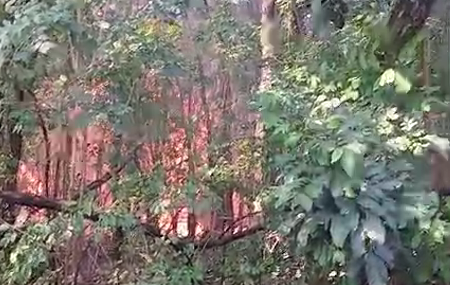 Incêndio avança sobre casas e assusta moradores no Jardim Ametista