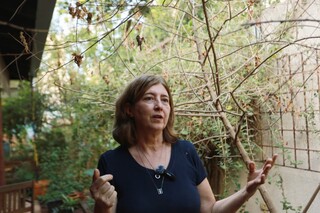 Calor infernal não perdoa nem as plantas; aprenda a salvar as suas