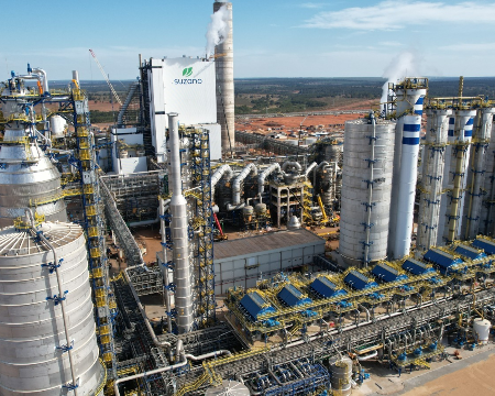 Lucro da Suzano cai 58% no trimestre e MS ganha peso no volume de produção