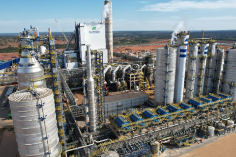 Lucro da Suzano cai 58% no trimestre e MS ganha peso no volume de produção