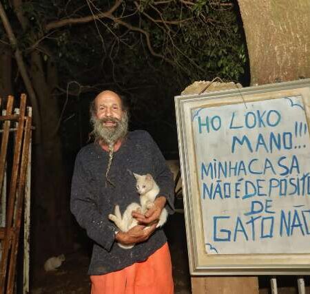 Com 11 gatos, morador pede fim do abandono dos pets em frente de casa