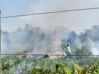 Cena corriqueira atualmente, incêndio em terreno é combatido com baldes de água Cena corriqueira atualmente, incêndio em terreno é combatido com baldes de água