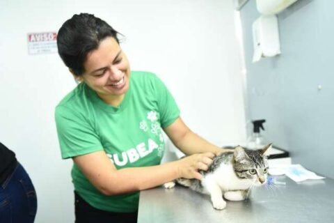 Consultório veterinário atende região do Jardim Aeroporto na próxima semana