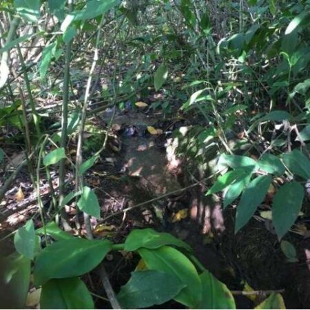 Justiça nega novo recurso e mantém paralisação de obra de asfalto nas Moreninhas