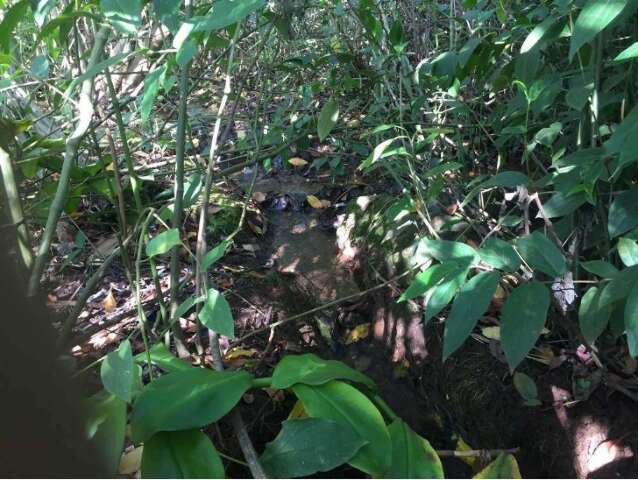 Justiça nega novo recurso e mantém paralisação de obra de asfalto nas Moreninhas