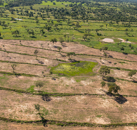 Pantanal passa a ter unidade regional para atuar em incêndios e desmate