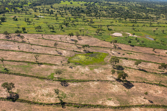 Pantanal passa a ter unidade regional para atuar em incêndios e desmate