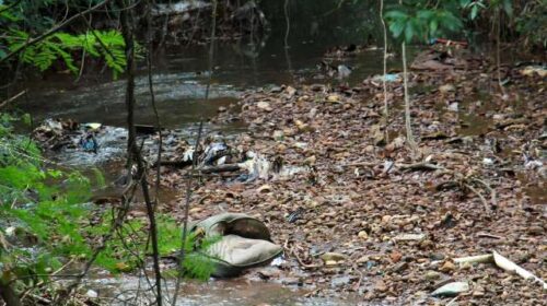 Sofás, animais mortos e água verde dividem espaço com caminhada no Imbirussu