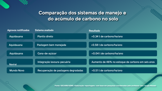 Pesquisas medem quanto diferentes manejos ampliam carbono no solo de MS