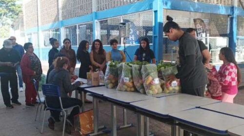 Mutirão irá ao Bairro Oliveira com doação de verduras e 300 serviços