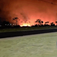 Chamas altas avançam sobre área de mata em Chapadão do Sul