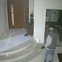 Dupla invade casa de coronel da reserva para furtar uísque e joias