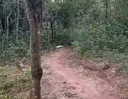 Jovem de 23 anos é encontrado morto em bosque municipal de Itaquiraí