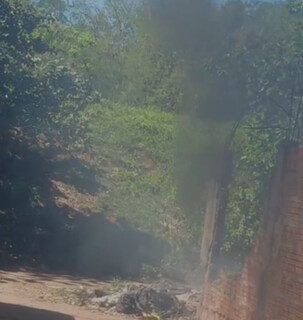 Fogo em terreno causa mal-estar em moradores que deixam casas temporariamente
